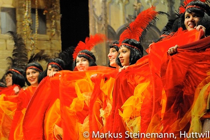 M.Steinemann 1203015